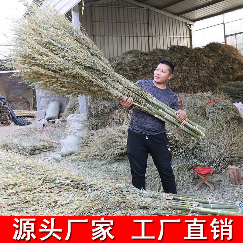 小竹扫把大扫把环卫马路扫大街的家用庭院子加大扫帚竹制工地