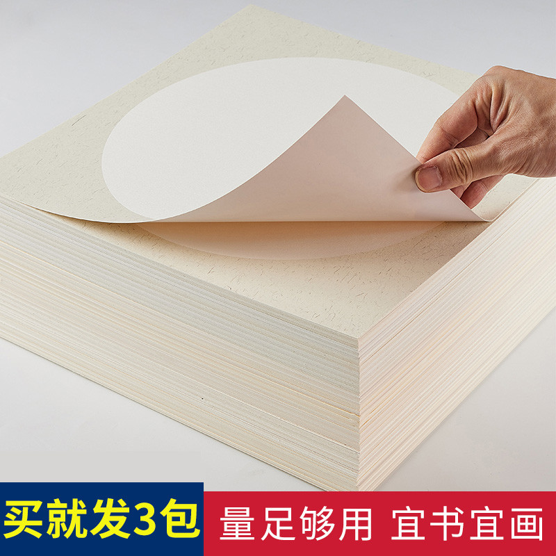 加厚国画生宣宣纸卡纸熟宣工笔画空白半生半熟书法作纸儿童小学