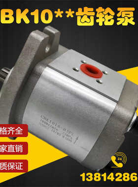 齿轮泵CBK1012 CBK1016 CBK1020 CBK1025-B1FR B1FL A1FR液压