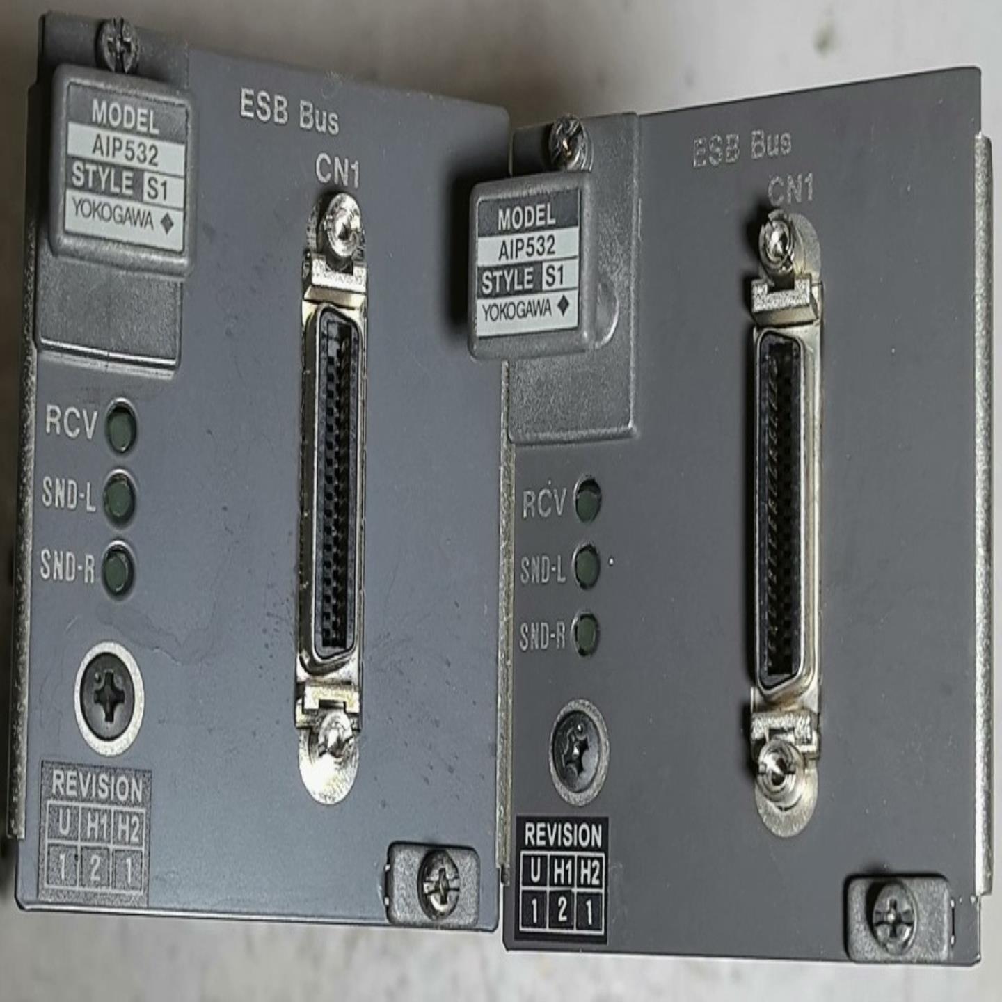 YOKOGAWA 横河  AIP532 S1 耦合器模块（佳毅工控）