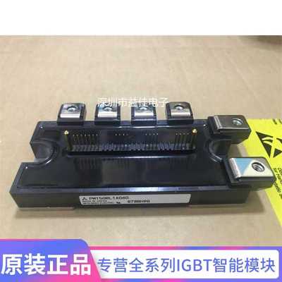 PM150CL1A060 PM75RLA060 PM100RL1B060 PM150RL1A060 PM50CLA0