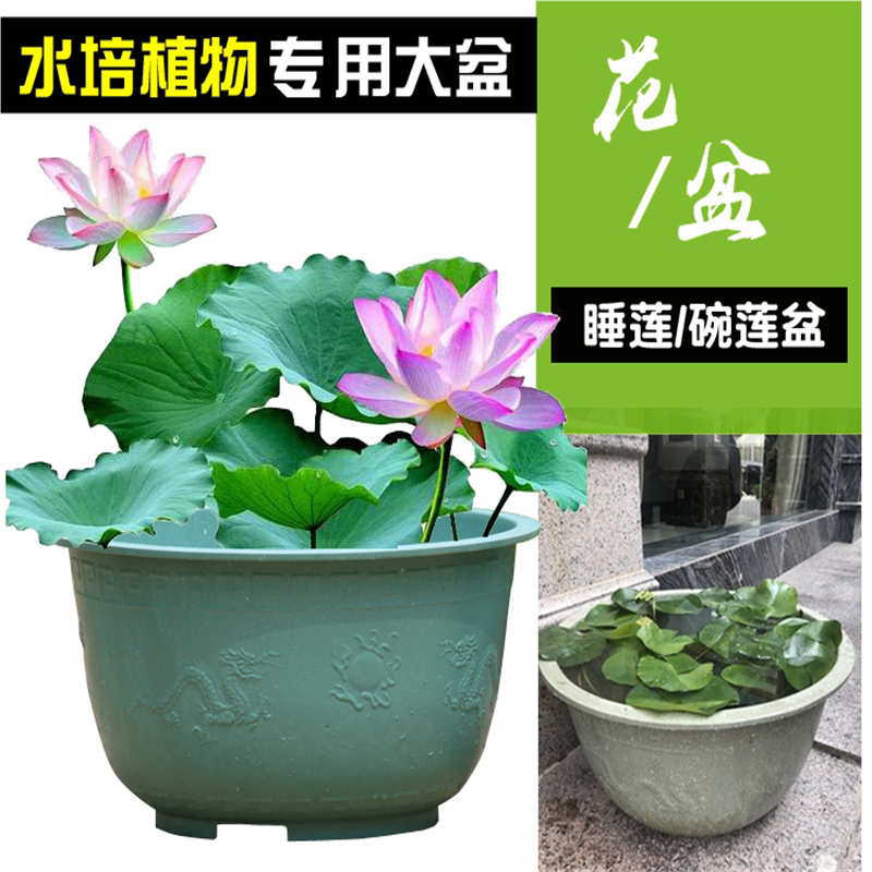 特大号圆形加厚水培孔荷花盆睡莲碗莲花专用塑料花盆龙缸盆