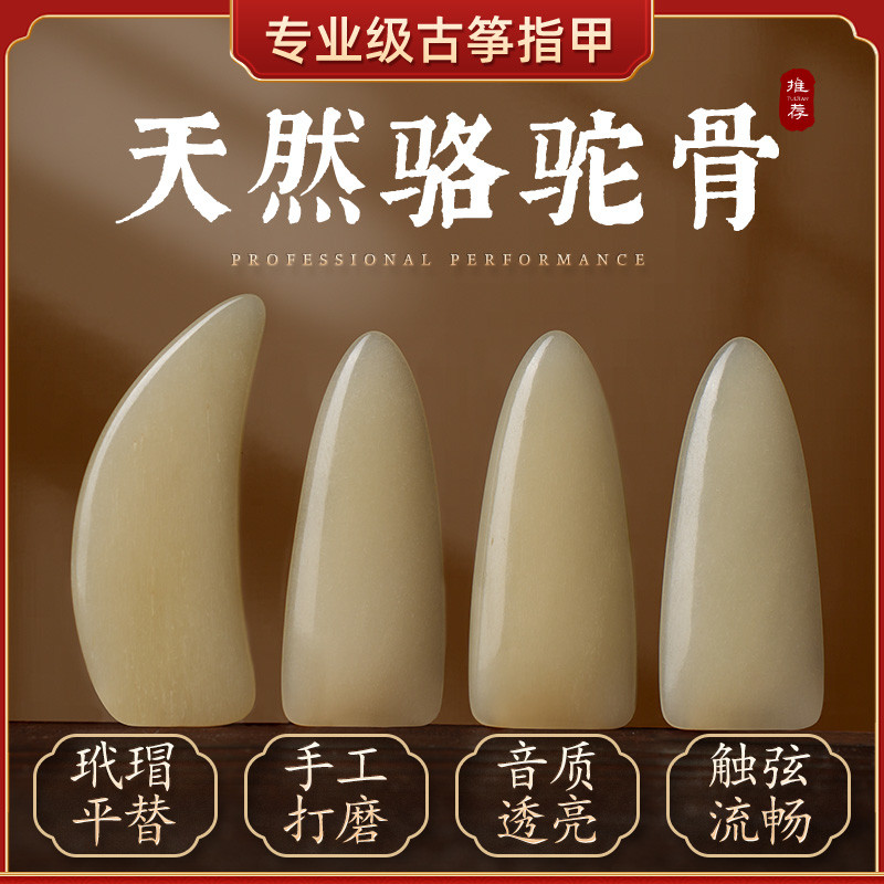 天然骨古筝指甲义甲儿童成人专业演奏考级指甲纯手工遥指神器