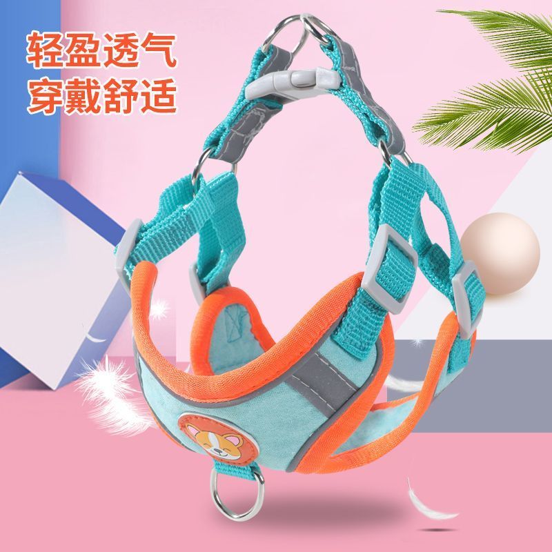 狗狗牵引绳胸背带可调节遛狗绳子大型犬博美伸缩外出背心式伸缩