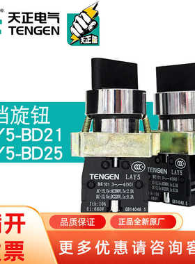 TENN天正电气LAY5开关旋钮二档三档 -BD21 25 BD33 35  NP2金属