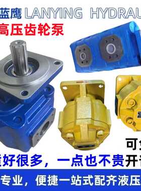 CBG2063 2080 2100 2040 2050高CBGk液压齿轮泵CMG JHP CBGj CB