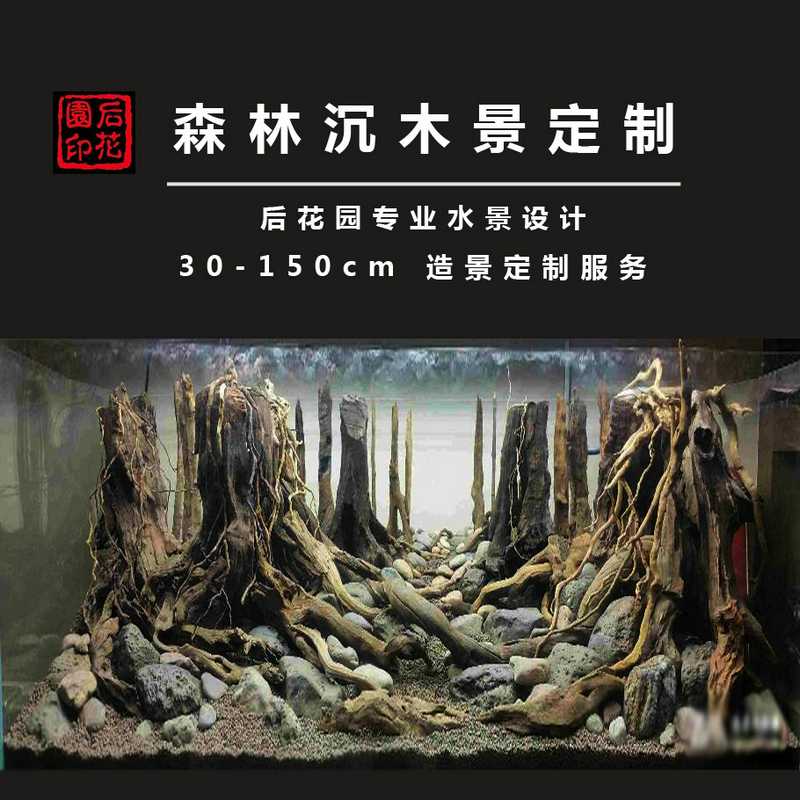 草缸造景 造景套餐 造景 青龙石 沉木 后花园水族 雨林景定制