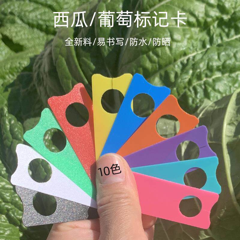 新升级加厚10色葡萄记号牌瓜果标记牌西瓜标记色卡葡萄标签