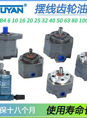 BB-B4摆线B6齿轮BN10液压B16油泵B20B25B32B40B50B63B80B100B12