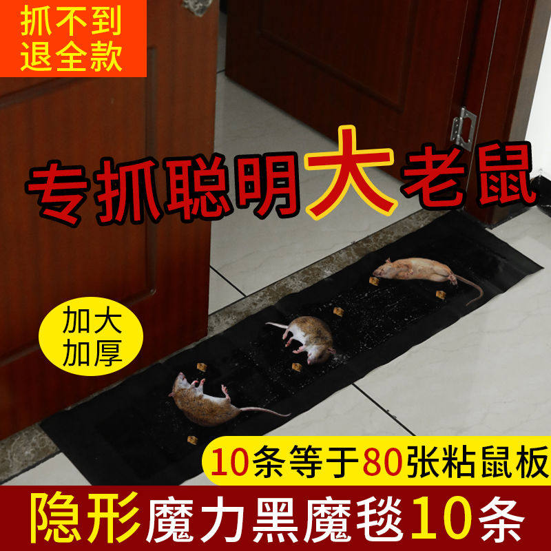 老鼠粘强力粘鼠板超强力胶粘大老鼠夹捕鼠神器灭鼠沾贴扑捉家