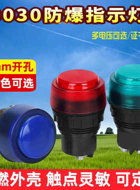 防爆信号灯8030红色绿色黄色380V220V24V36V警示防爆配电箱专