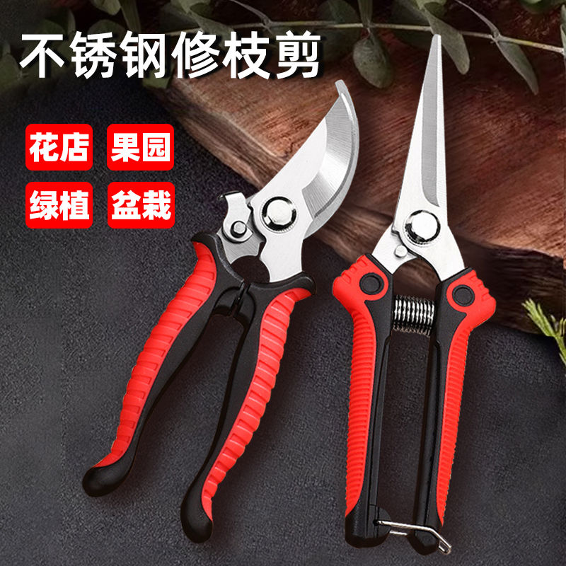 花剪园艺剪刀粗枝修剪树枝花卉盆栽养花插花摘果尖头不锈钢剪子