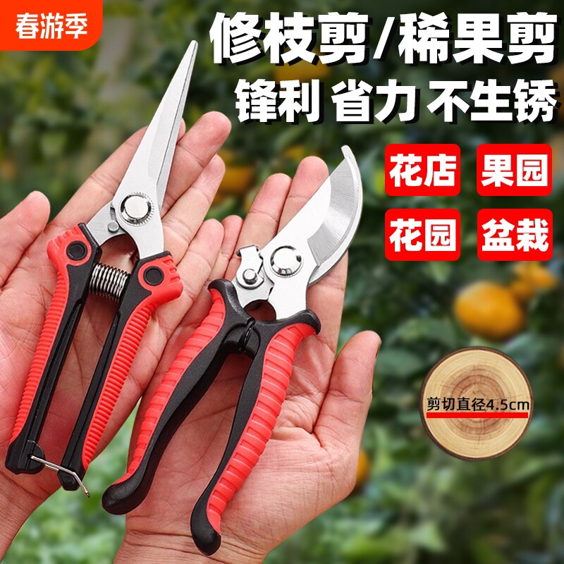 家用园艺盆景花卉专用强力花店花艺剪子不锈钢修枝剪树枝摘果剪刀