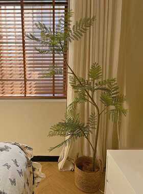 森空间仿真绿植软装蓝花楹室内客厅摆件奶油法式仿生假树落地