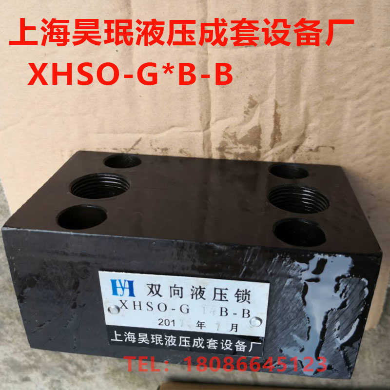 XHSO-G8B-B XHS0-G6B-B XHSO-G14B-B XHSO-GB-B 双向液压锁