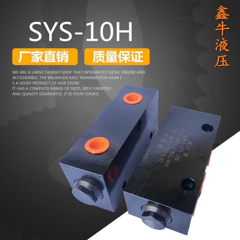直销双向液压锁SYS-10H吊车支腿双向油缸液压锁管式锁保压阀
