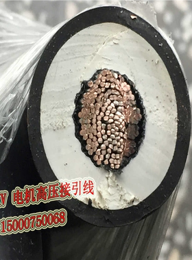 上海南洋 10KV高压接引线JFEYH 10/16/25/35/50/70平方电机引