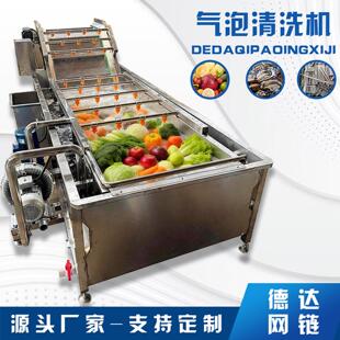 德达气泡清洗机商用全自动大型连续式果蔬叶类水果蔬菜清洗设备