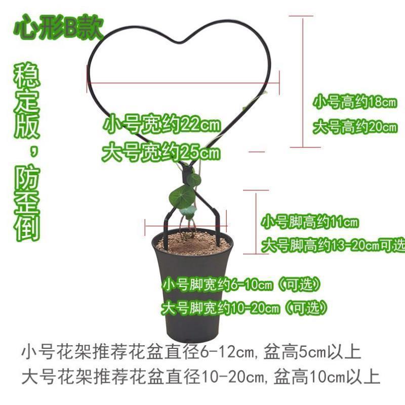 山乌龟绿植心形花架龟甲龙爬藤架绿萝攀爬架子桌面植物花卉造型架