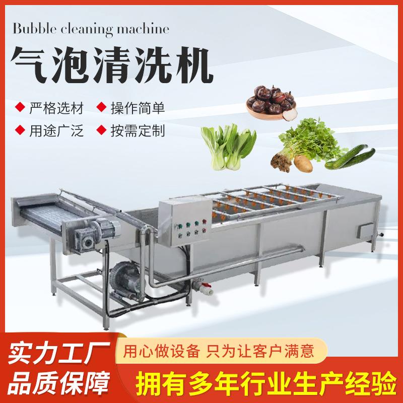 白芍气泡清洗设备蕨菜香菇杏鲍菇清洗流水线金银花清洗机