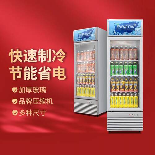 单门立式冷藏展示柜超市饮料饮品水果蔬菜啤酒商用保鲜冰箱