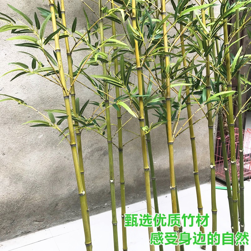 仿真竹子假竹子客厅隔断室内造景观植物室外装饰仿生竹子绿植挡墙