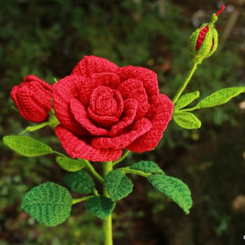 蓝月家毛线花之新版玫瑰花材料包(不含钩针花盆)新手慎拍