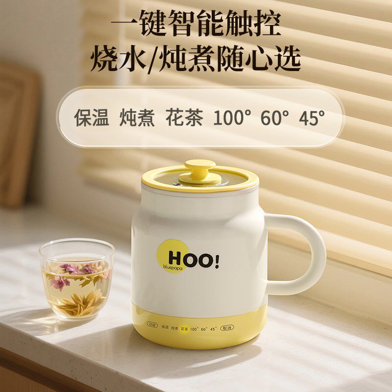 多功能烧水杯热奶杯小型电煮杯迷你便携式加热电热水杯煮粥炖煮杯