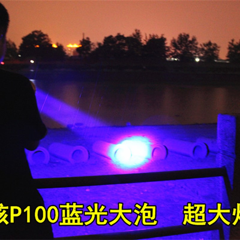 12V蓝光白光黄光外接灯头钓鱼灯P100夜钓头灯P90强光24V36V夹电瓶