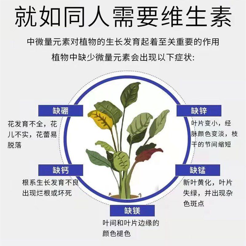 钙镁铁锌硼【40斤整袋包邮】多元素水溶肥叶面肥钙肥硼肥铁肥镁肥