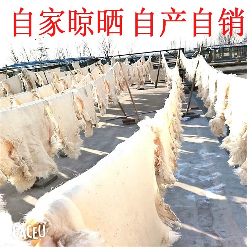 整张羊皮毛坐垫沙发垫纯羊毛毯子地毯床边褥子皮毛一体羊毛飘窗垫
