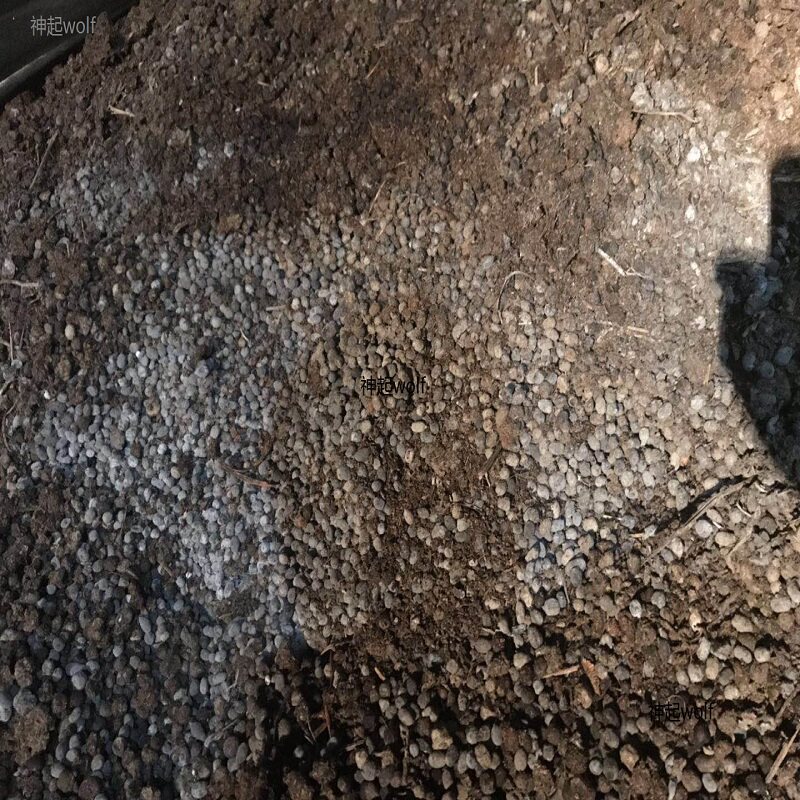 大量晒乾发酵纯羊粪,欢迎走量价格可私肥有机发酵剂