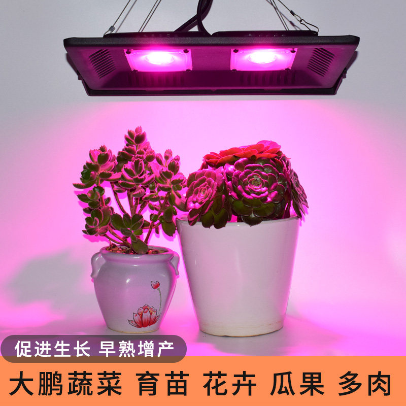 加瑞华月季补光灯室内家用多肉大棚蔬菜花卉火龙果植物生长灯阳光