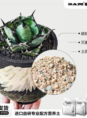 蓝鲸龙舌兰蓝色叶片潮流块根网红植物INS绿植耐晒耐旱易养护盆栽