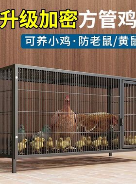 鸡笼子家用大号兔笼养殖鸭鹅鸽笼室外铁丝网不锈钢猫自动滚蛋鸡笼