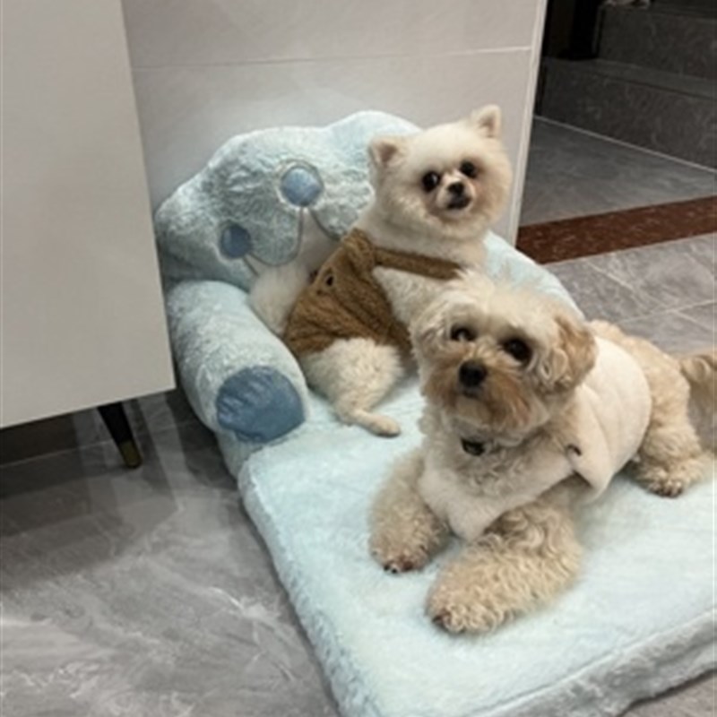 可拆洗小狗沙发宠物猫沙发窝垫儿童沙发