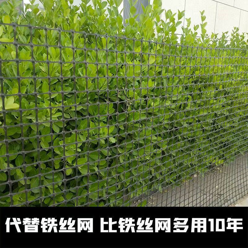 特厚塑料围栏网养鸡鸭果园菜园鱼塘防护网养殖网玉米网圈地栅栏网
