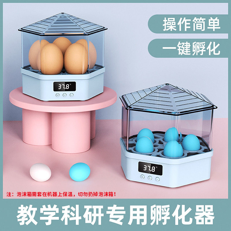 家用迷你孵蛋器 全自动智能孵化箱 适用小型鸟类种蛋 自带照蛋功