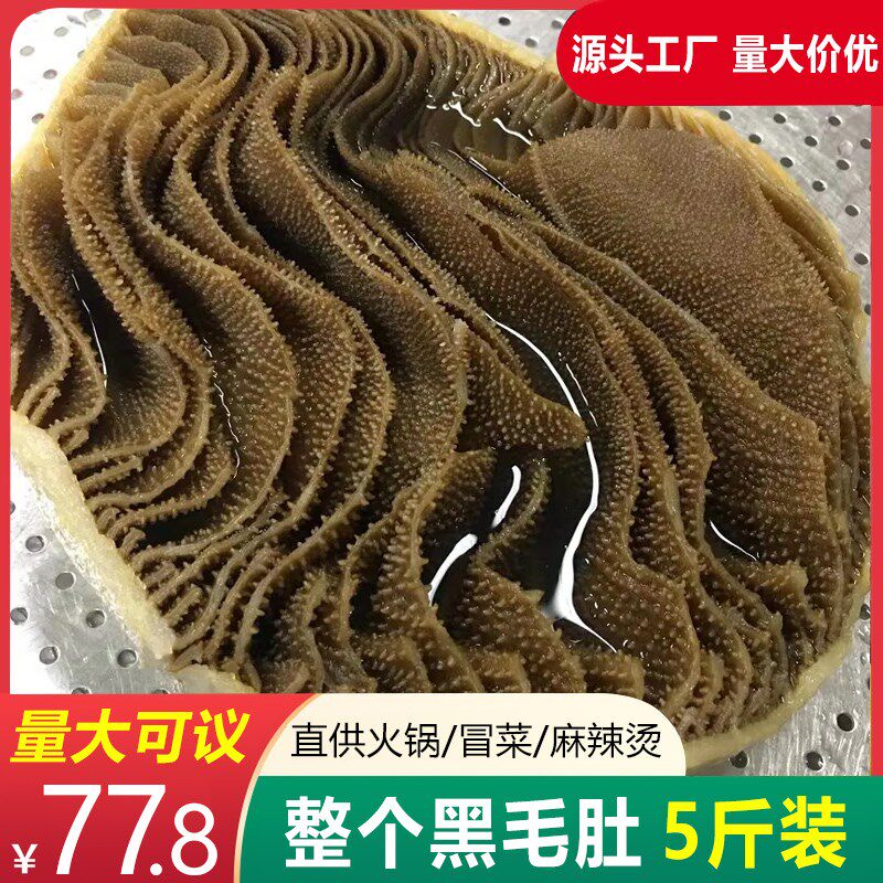 毛肚整个新鲜牛百叶黑千层毛肚整个大叶片牛杂火锅专用食材商用