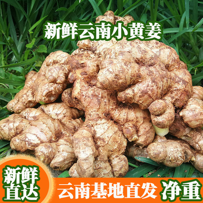 云南特产农家自种小黄姜