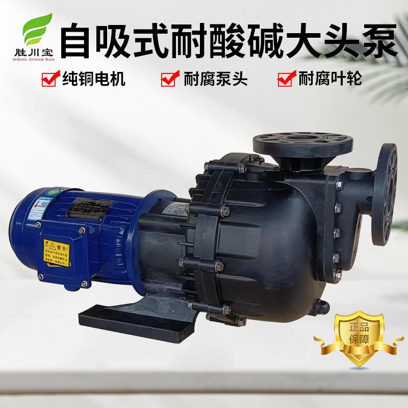 FRPP耐腐蚀大头泵塑料化工泵抽酸泵槽外泵卧式耐酸碱自吸泵马肚泵