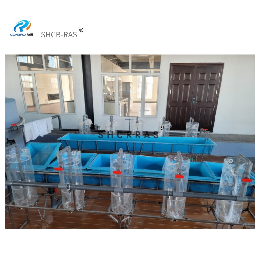 循环水水产养殖系统淡水鱼石斑鱼虹鳟鱼鱼卵孵化器孵化设备