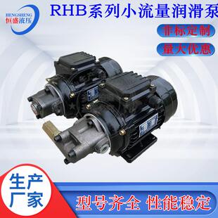 便携式RHB-2.5JZ1.64JZRHB-3.15JZ打头机小流量润滑泵电机装置
