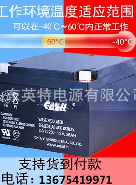 CASIL蓄电池CA1226012V,26AH应急电源照明电源通信设备用电池