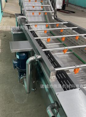 多功能全自动洗果蔬NUE蔬菜清洗机  泡式气喷淋豆角清机洗菜机设