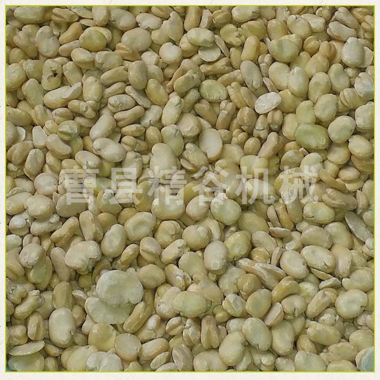 山东菏泽6FT-B7型蚕豆粒整皮机 脱蚕豆皮机 兰花豆脱壳去扒UYA皮