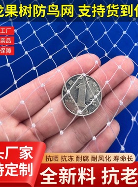 防鸟用网果园果树防鸟网樱桃葡萄鱼塘天网户外大棚尼龙线网养殖网