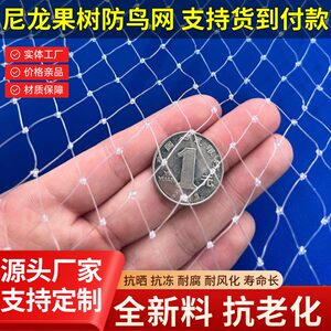全新料防鸟网果园果树户外养殖网