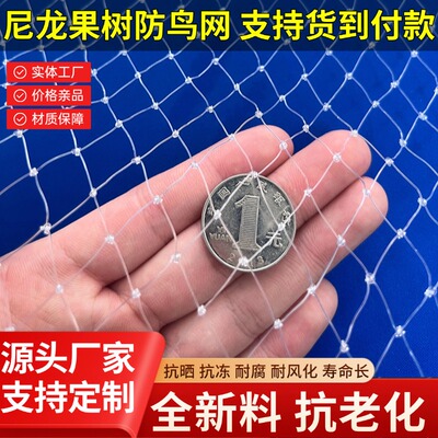 防鸟用网果园果树防鸟网樱桃葡萄鱼塘天网户外大棚尼龙线网养殖网