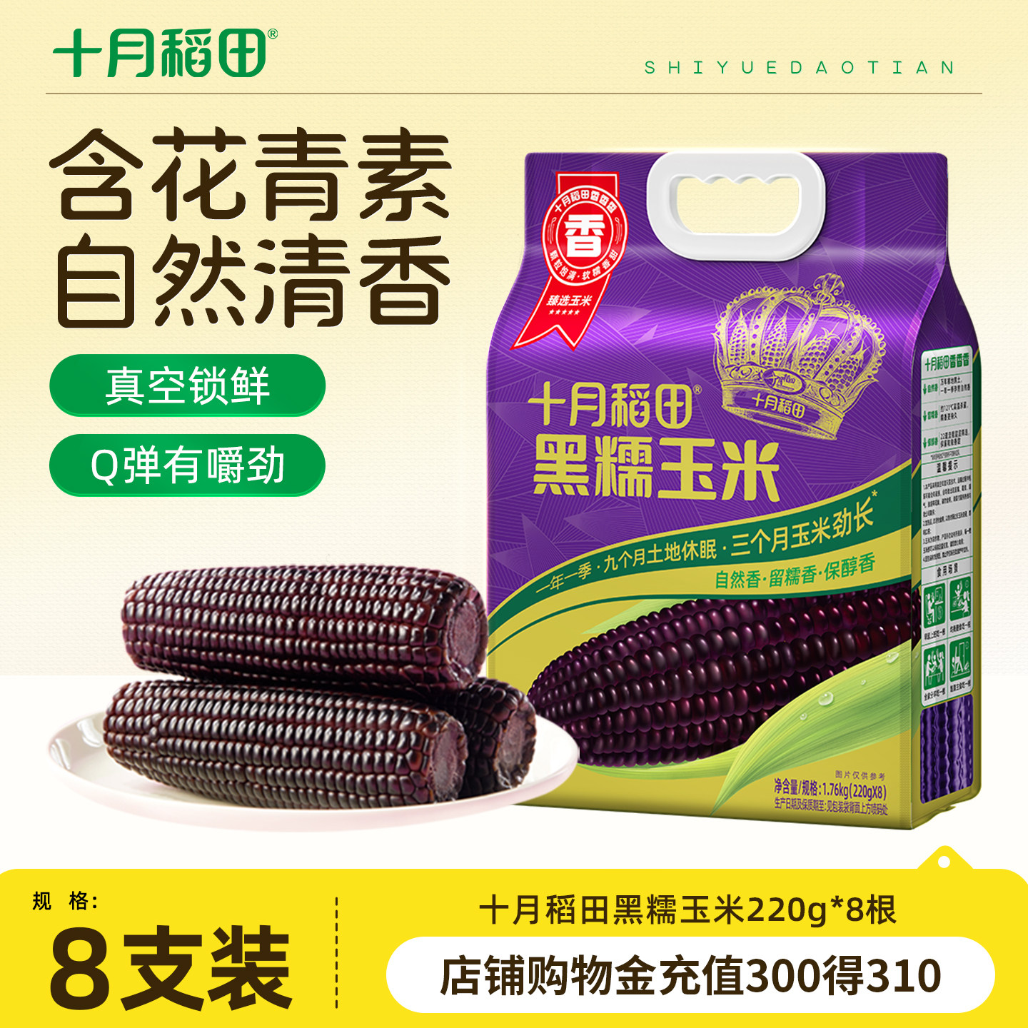 十月稻田黑玉米东北花青素苞谷黑糯玉米新鲜香玉米棒早餐真空包装